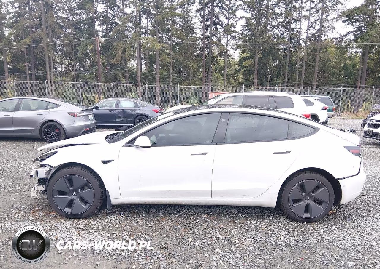 2022 Tesla Model 3 Rear-Wheel Drive VIN:5YJ3E1EA3NF121412 - 14