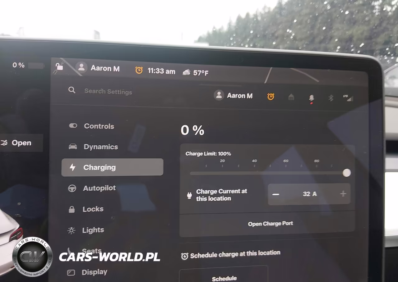 2022 Tesla Model 3 Rear-Wheel Drive VIN:5YJ3E1EA3NF121412 - 17