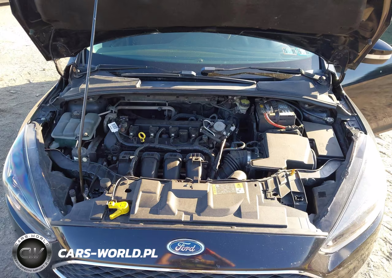 2016 Ford Focus Se VIN:1FADP3K21GL338647 - 10