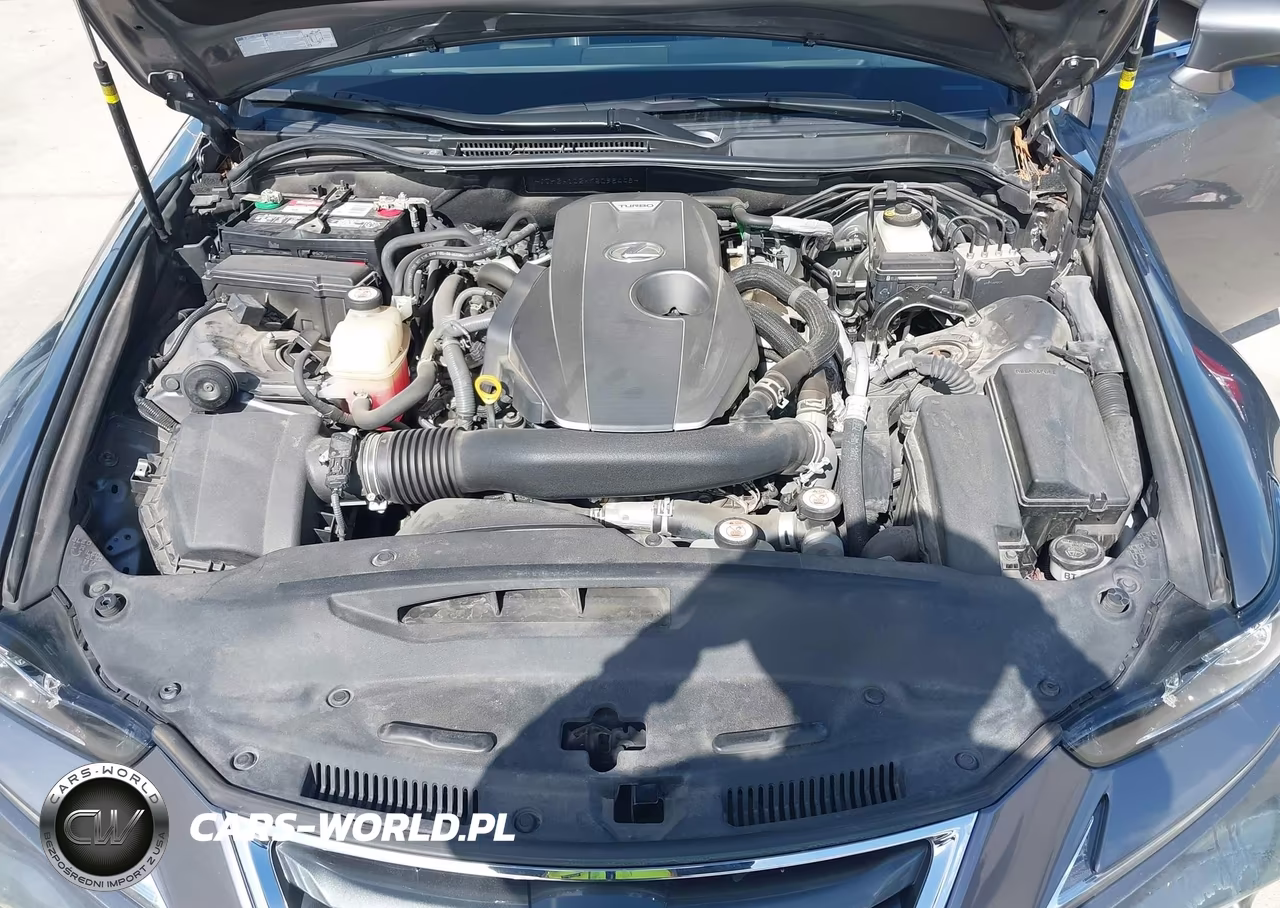 2019 Lexus Is 300 VIN:JTHBA1D2XK5098448 - 10