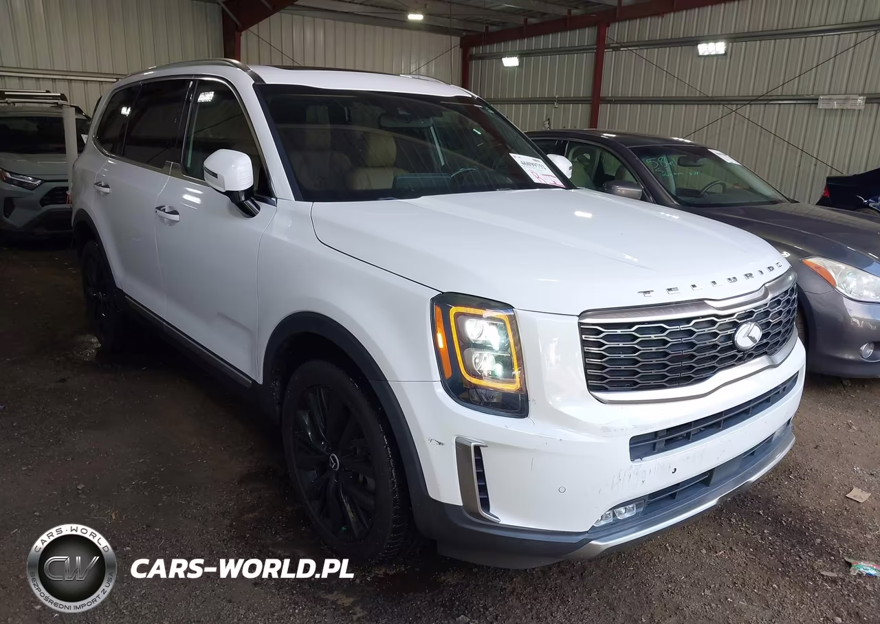 2020 Kia Telluride Sx VIN:5XYP54HC8LG083844 - 1