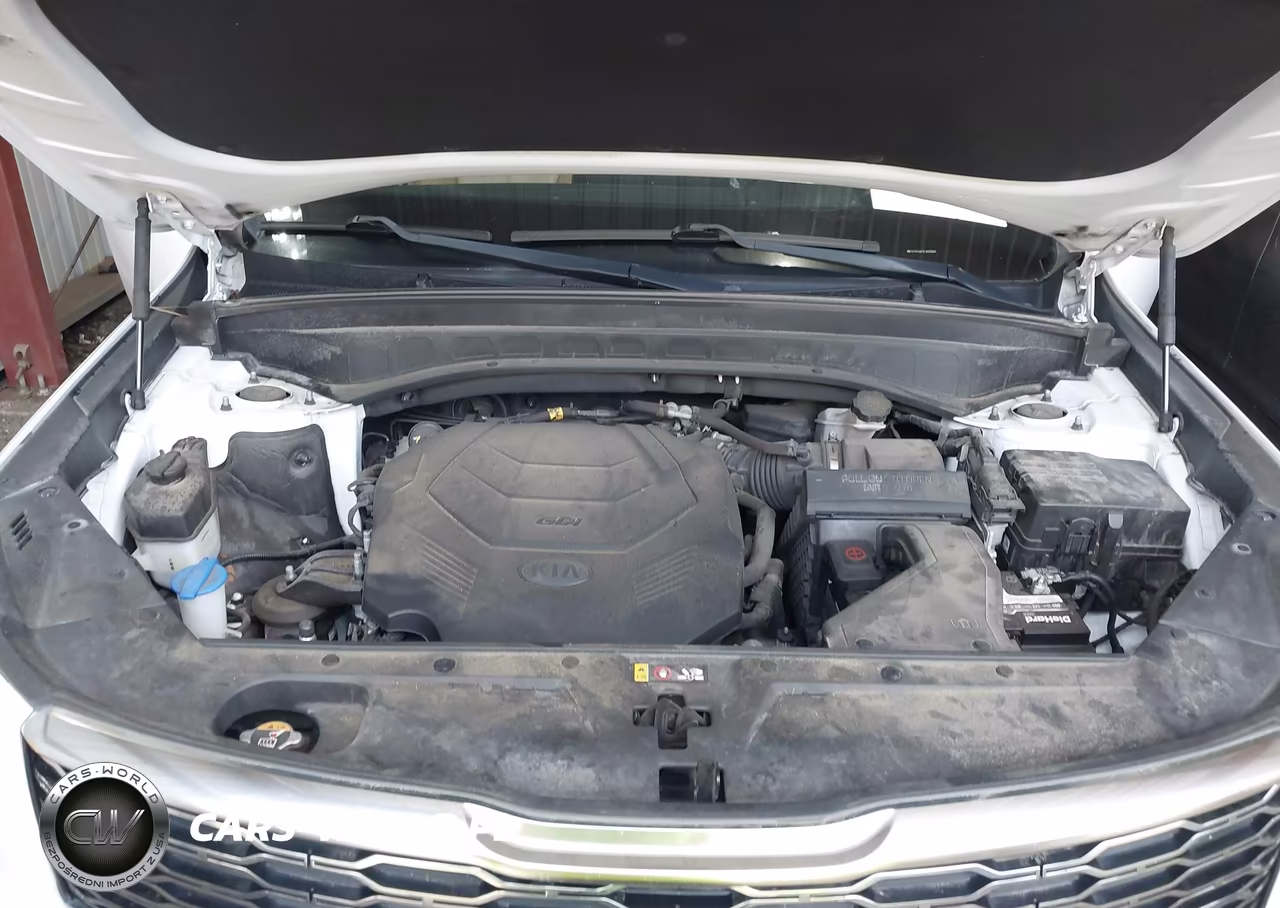 2020 Kia Telluride Sx VIN:5XYP54HC8LG083844 - 10