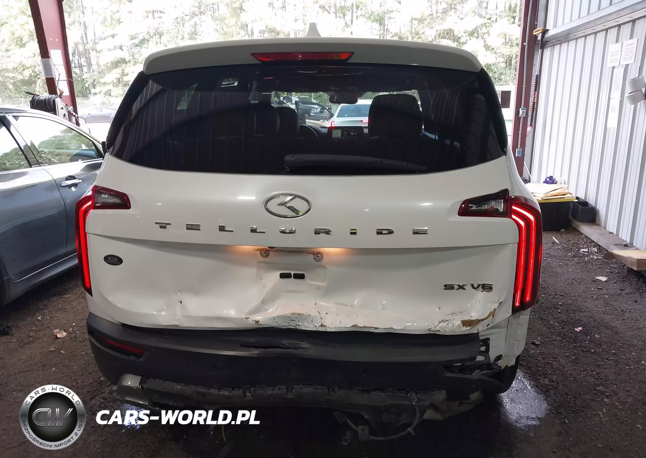 2020 Kia Telluride Sx VIN:5XYP54HC8LG083844 - 17
