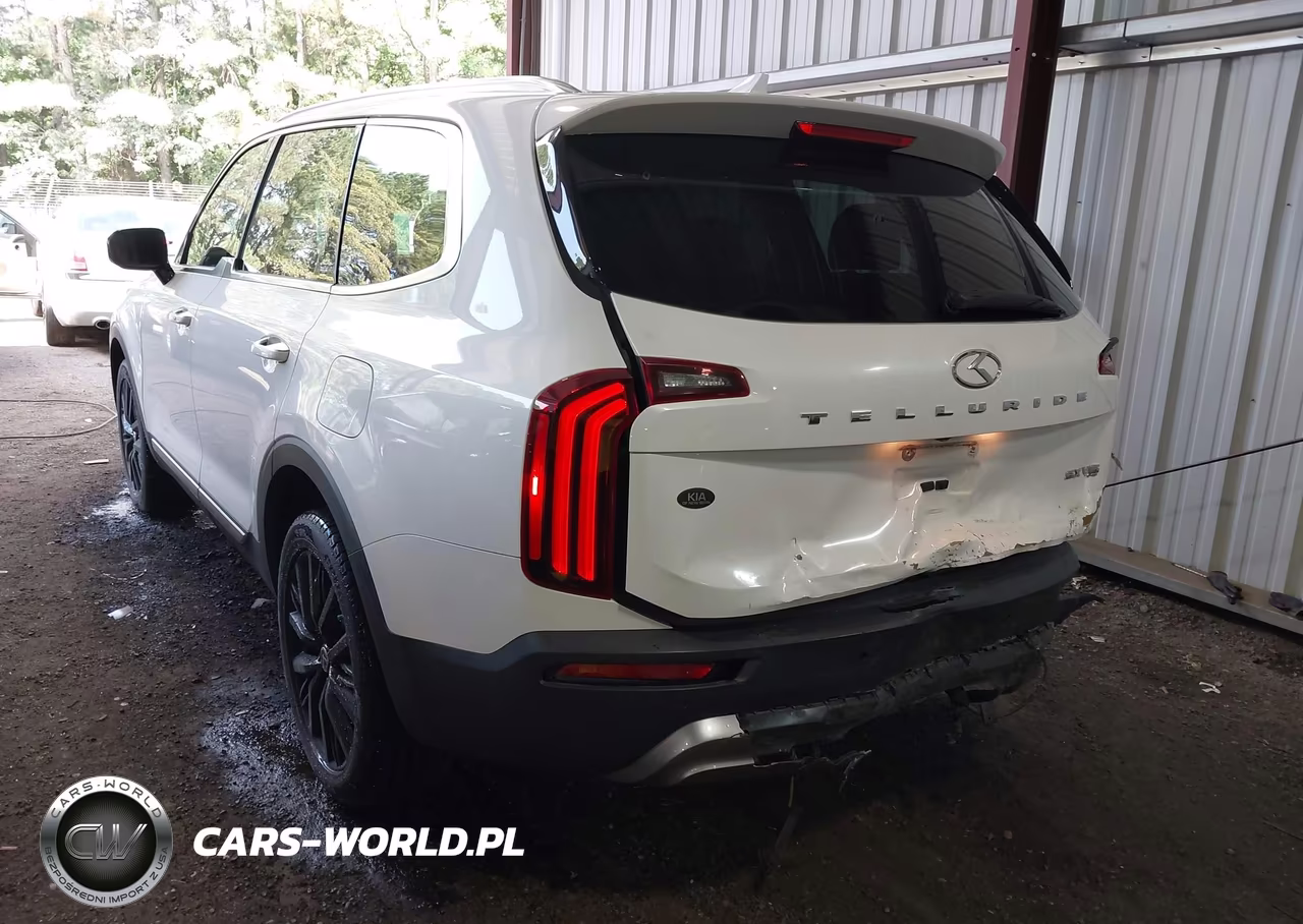 2020 Kia Telluride Sx VIN:5XYP54HC8LG083844 - 3