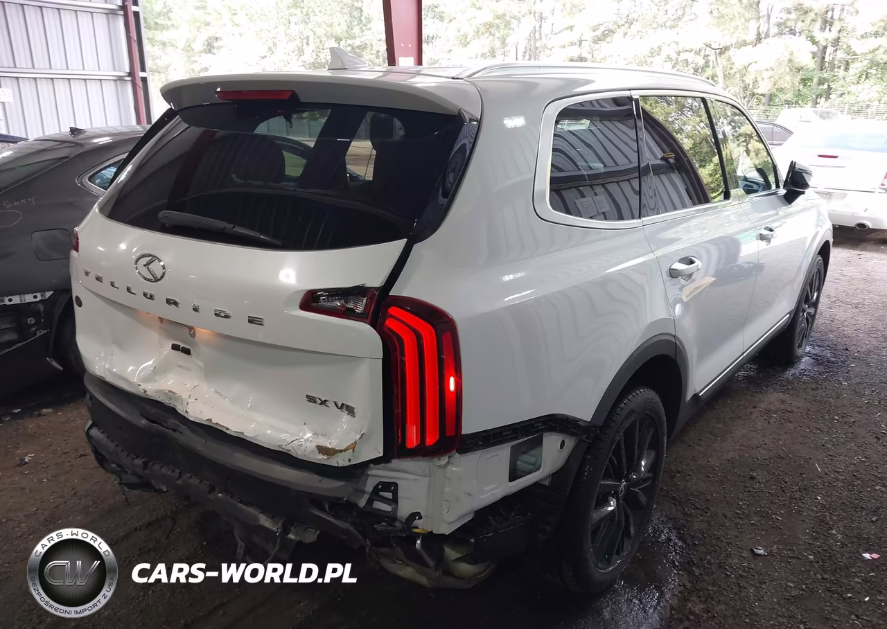 2020 Kia Telluride Sx VIN:5XYP54HC8LG083844 - 4