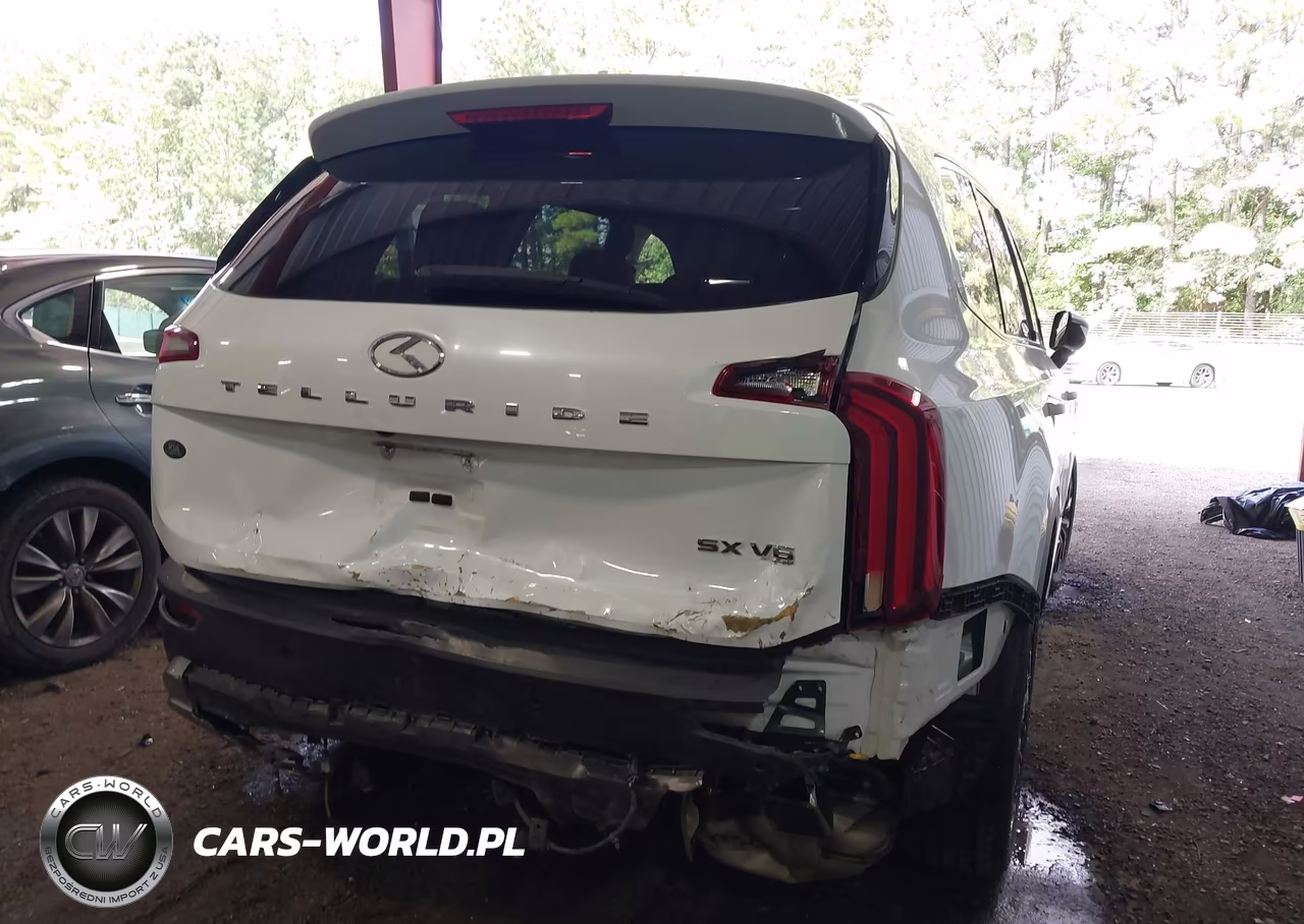2020 Kia Telluride Sx VIN:5XYP54HC8LG083844 - 6