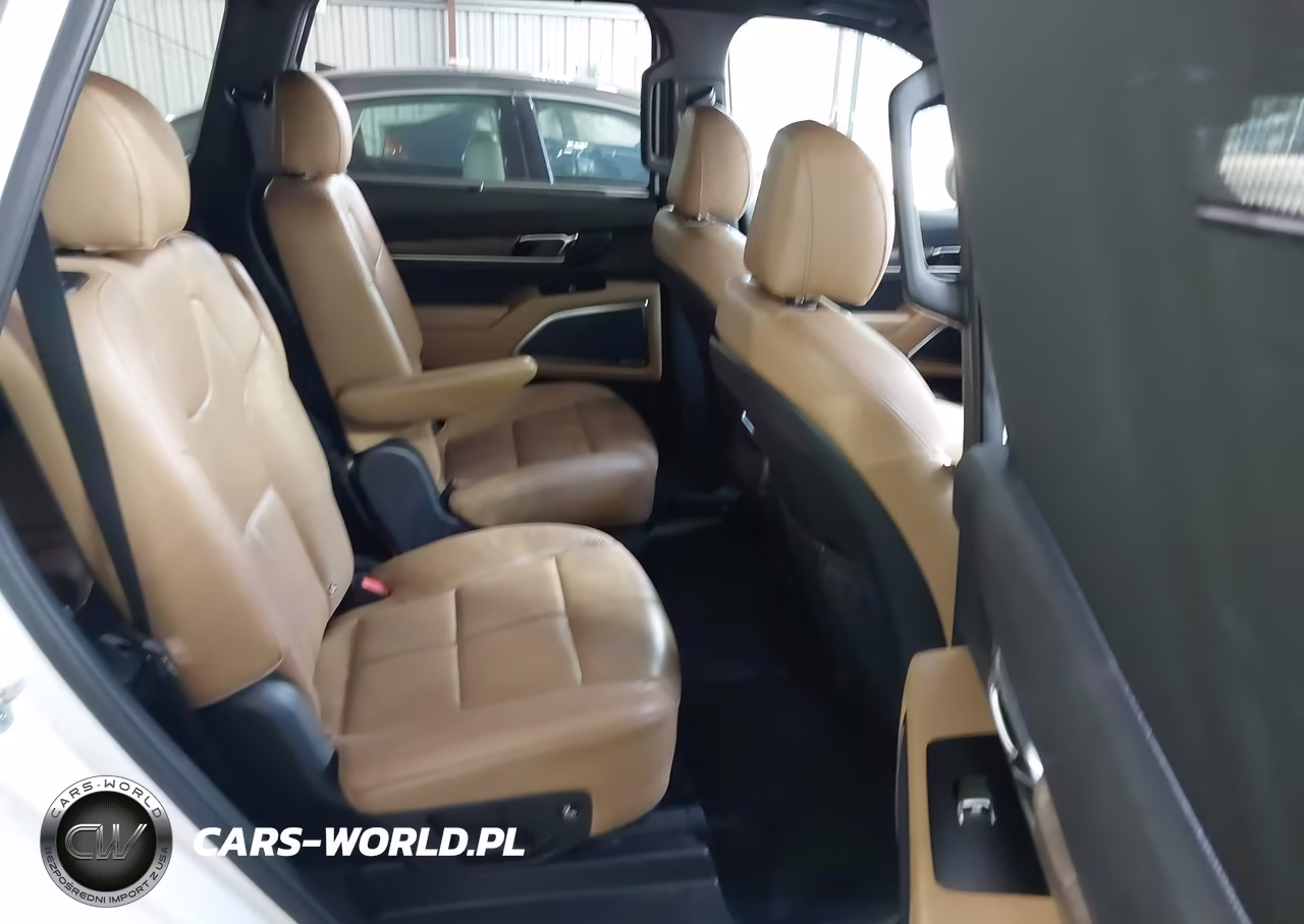 2020 Kia Telluride Sx VIN:5XYP54HC8LG083844 - 8