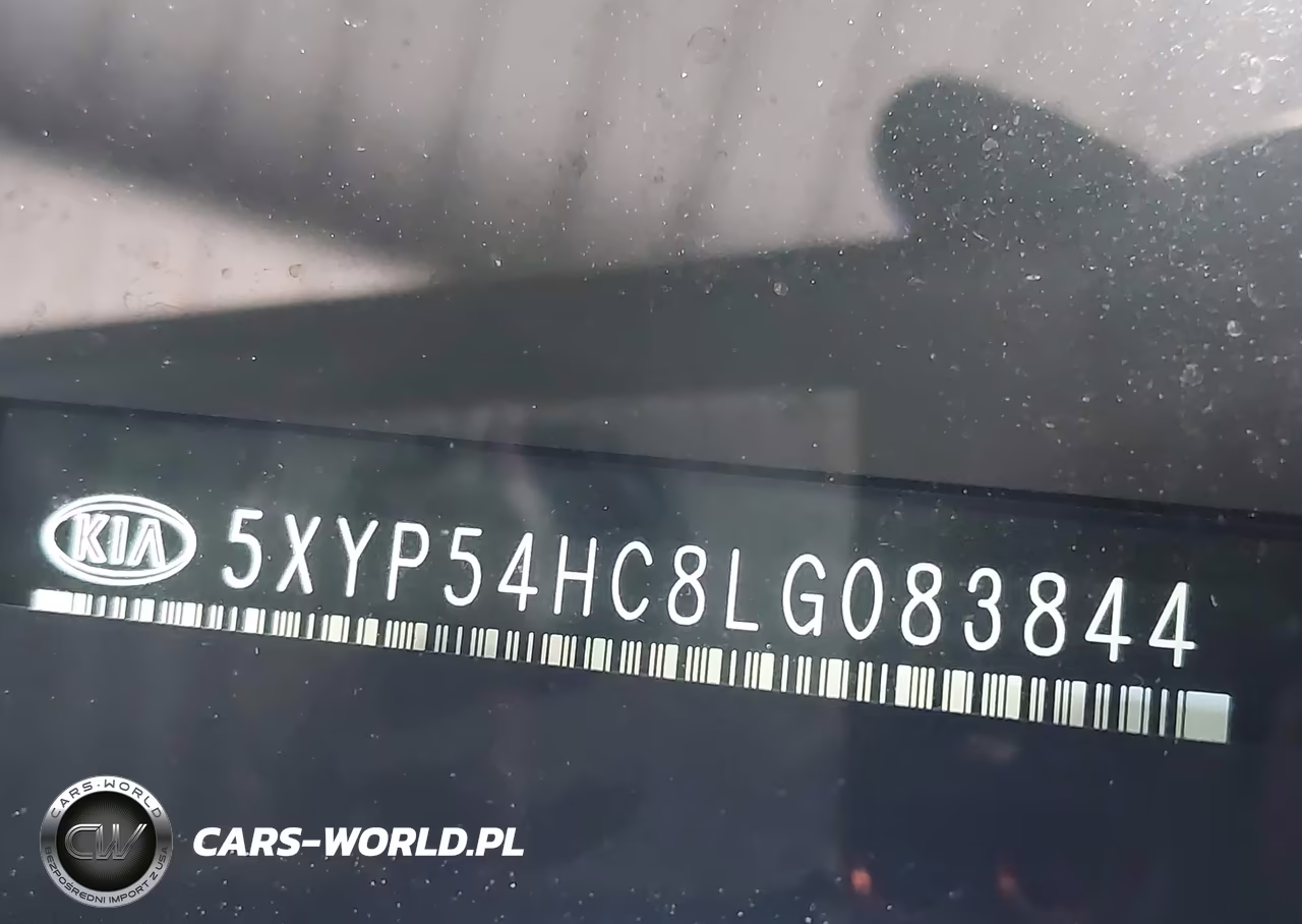 2020 Kia Telluride Sx VIN:5XYP54HC8LG083844 - 9