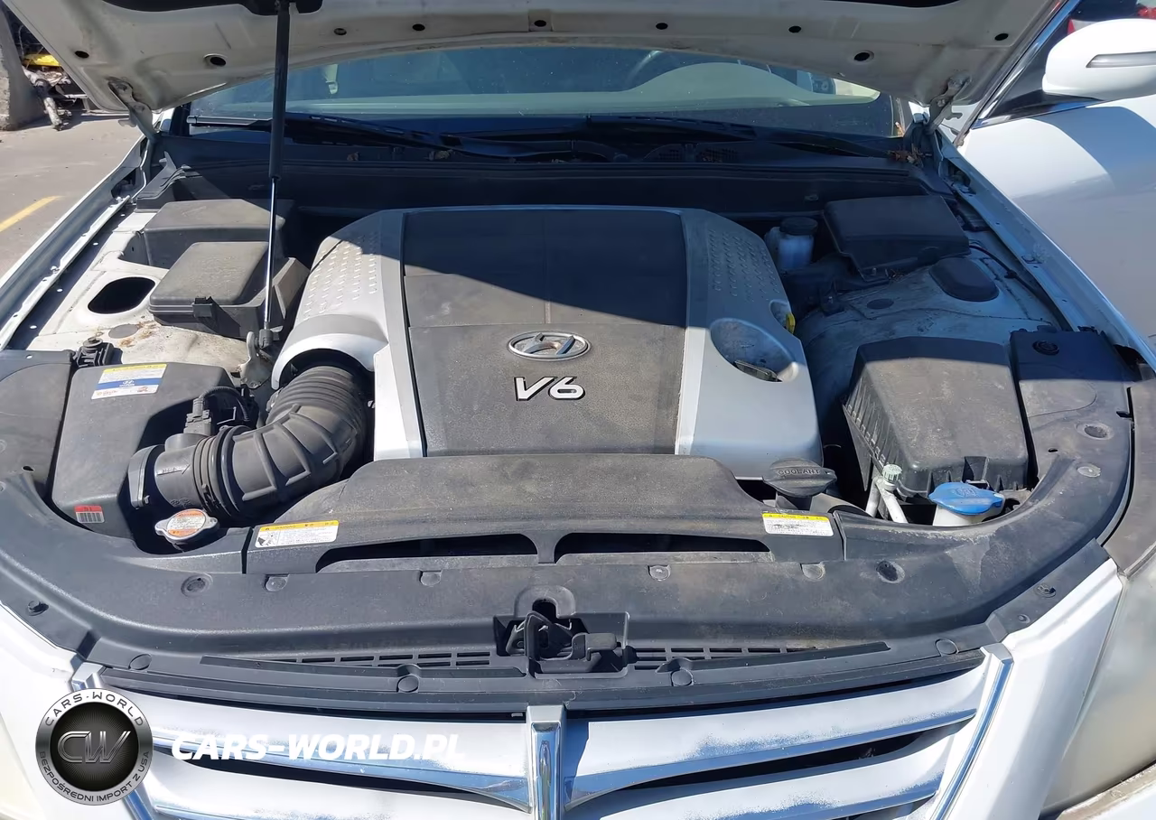 2011 Hyundai Genesis 3.8 VIN:KMHGC4DE0BU135344 - 10