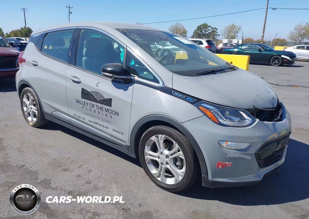 2019 Chevrolet Bolt Ev Lt