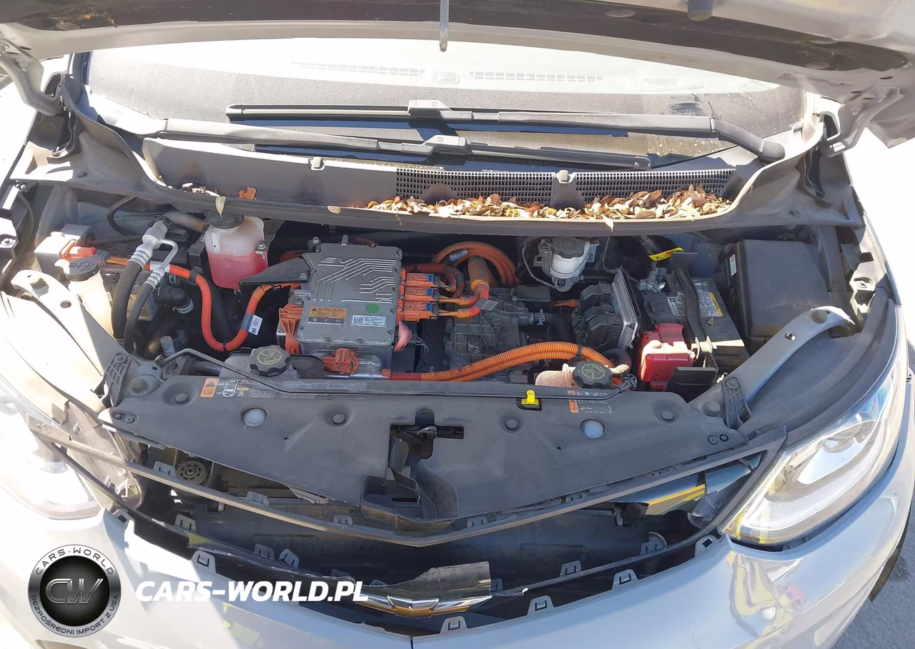 2019 Chevrolet Bolt Ev Lt VIN:1G1FY6S07K4114701 - 10