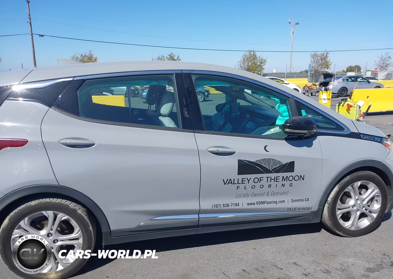 2019 Chevrolet Bolt Ev Lt VIN:1G1FY6S07K4114701 - 13