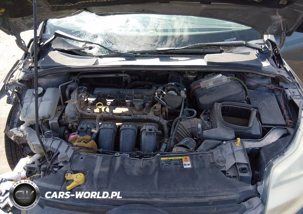 2013 Ford Focus Se VIN:1FADP3K26DL280109 - 10
