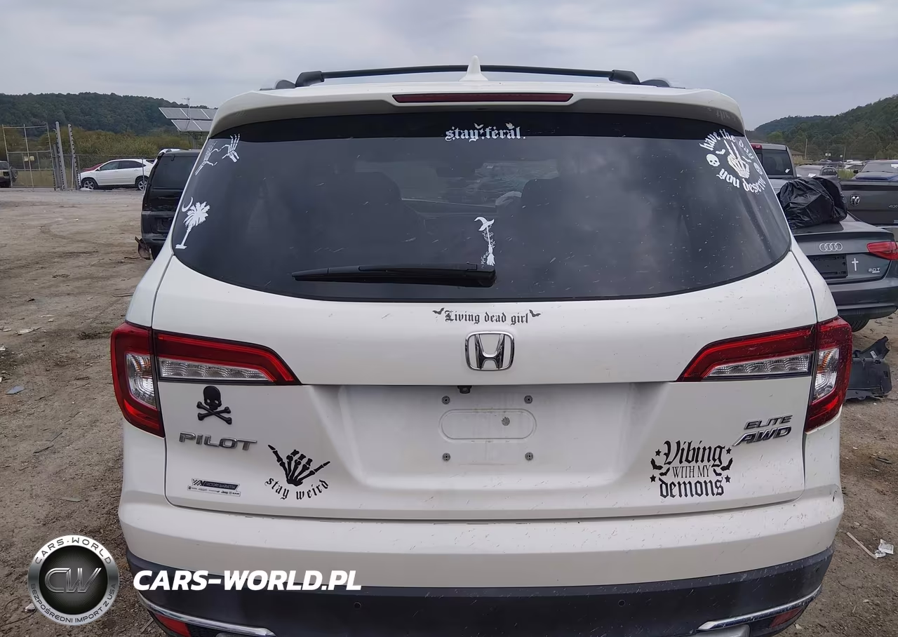 2019 Honda Pilot Elite VIN:5FNYF6H09KB014704 - 17