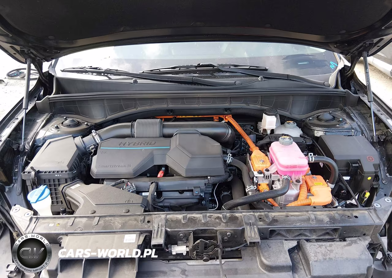 2023 Kia Sorento Hybrid Sx Prestige VIN:KNDRKDLG7P5205961 - 10