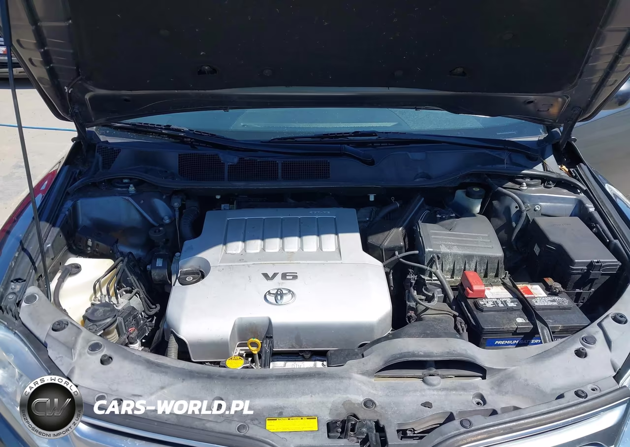 2009 Toyota Venza Base V6 VIN:4T3ZK11A69U006134 - 10