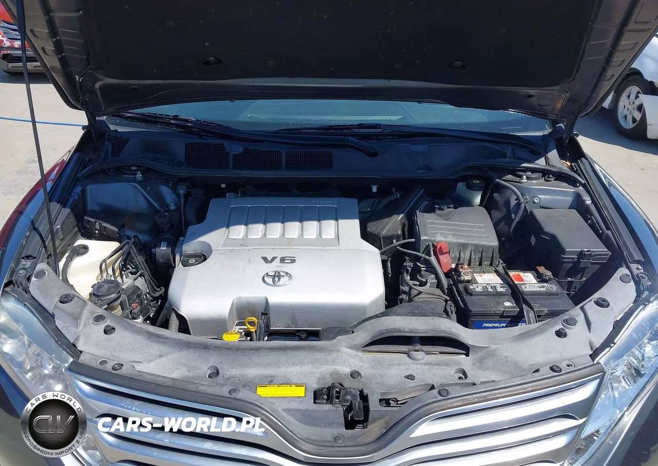 2009 Toyota Venza Base V6 VIN:4T3ZK11A69U006134 - 6