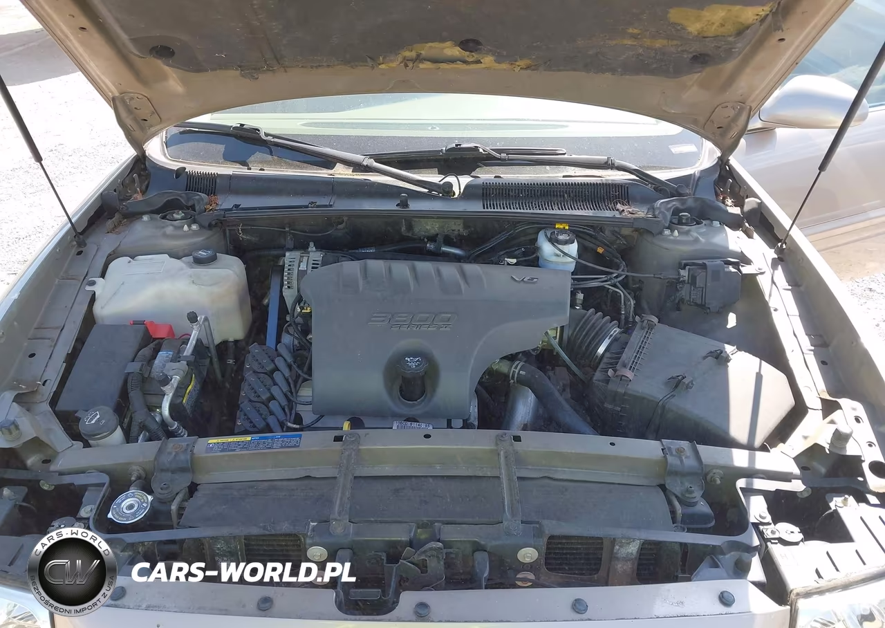 2004 Buick Lesabre Custom VIN:1G4HP52K744177231 - 10