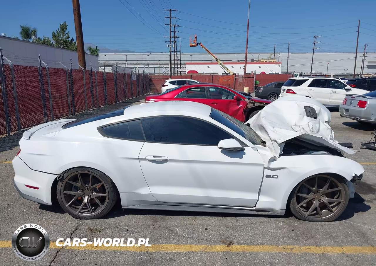 2019 Ford Mustang Gt Premium VIN:1FA6P8CF2K5193574 - 14