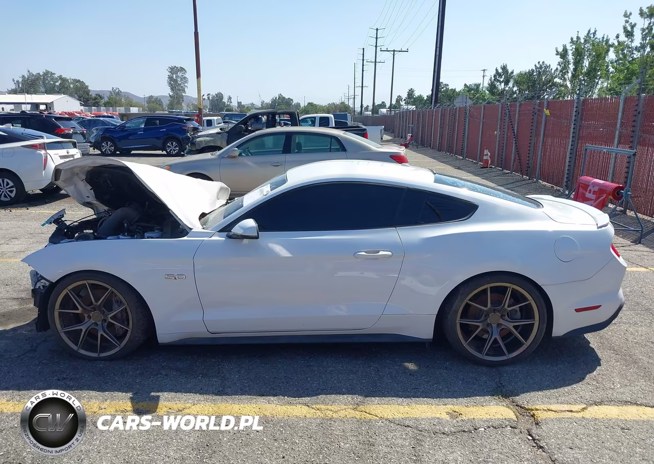 2019 Ford Mustang Gt Premium VIN:1FA6P8CF2K5193574 - 15