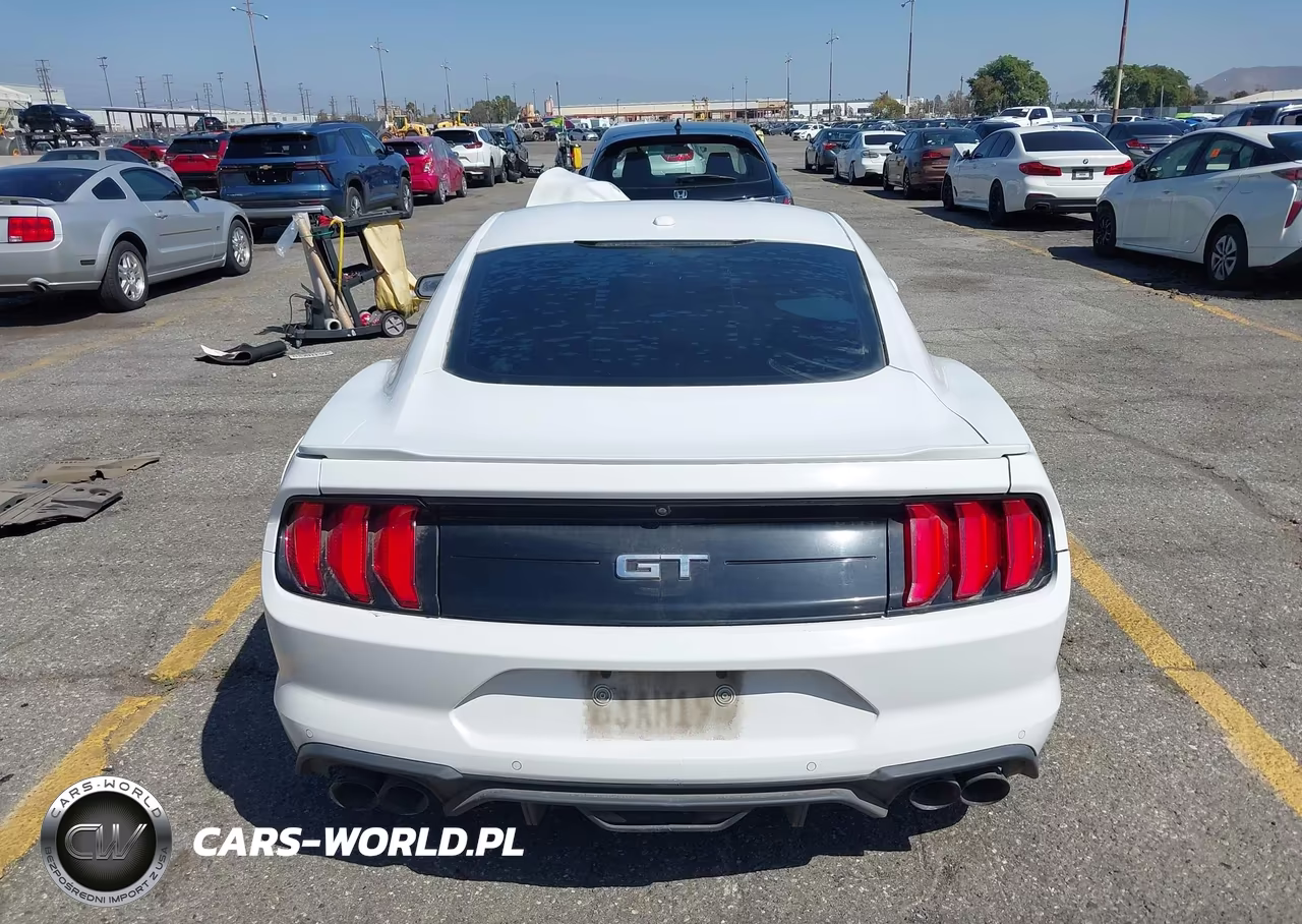 2019 Ford Mustang Gt Premium VIN:1FA6P8CF2K5193574 - 17