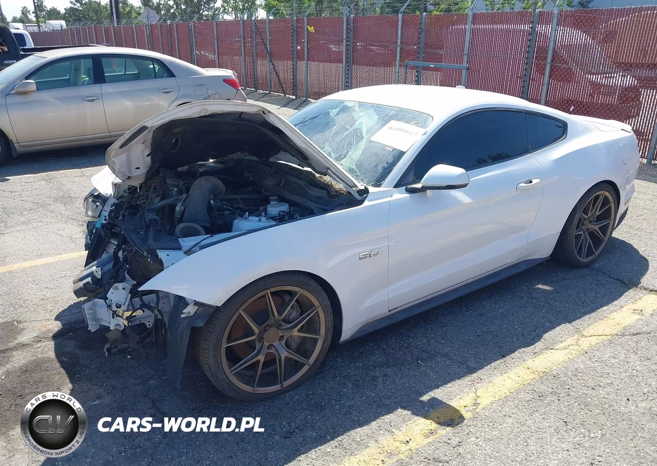 2019 Ford Mustang Gt Premium VIN:1FA6P8CF2K5193574 - 2