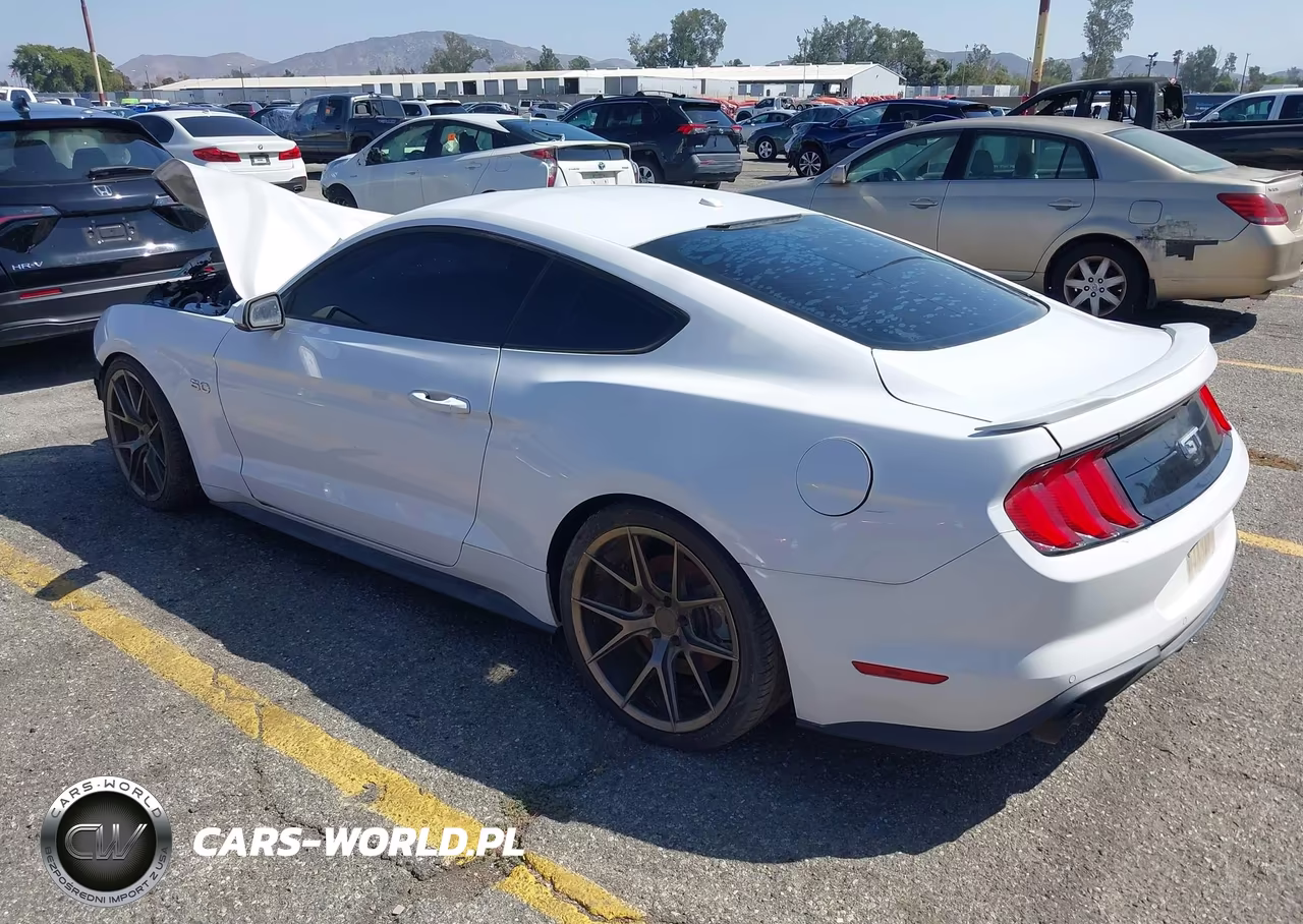 2019 Ford Mustang Gt Premium VIN:1FA6P8CF2K5193574 - 3