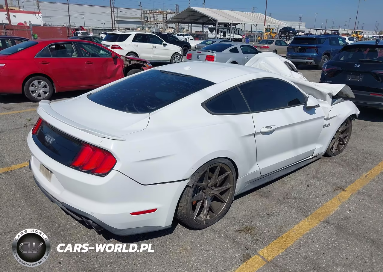 2019 Ford Mustang Gt Premium VIN:1FA6P8CF2K5193574 - 4