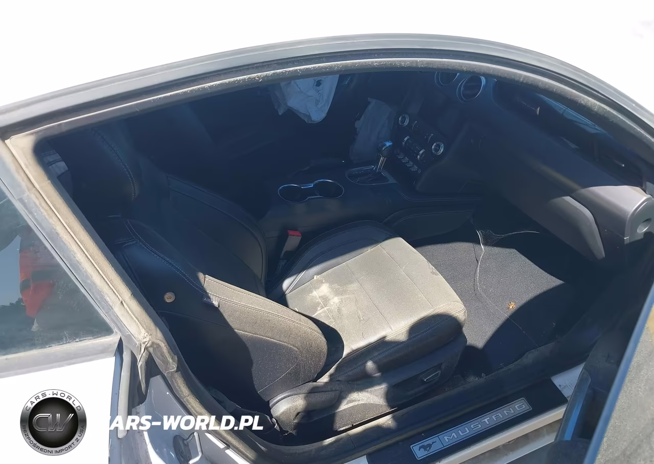 2019 Ford Mustang Gt Premium VIN:1FA6P8CF2K5193574 - 5