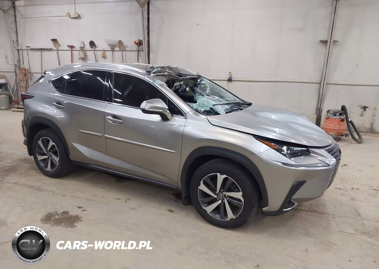 2018 Lexus Nx 300 – zdjęcie 1 z 16