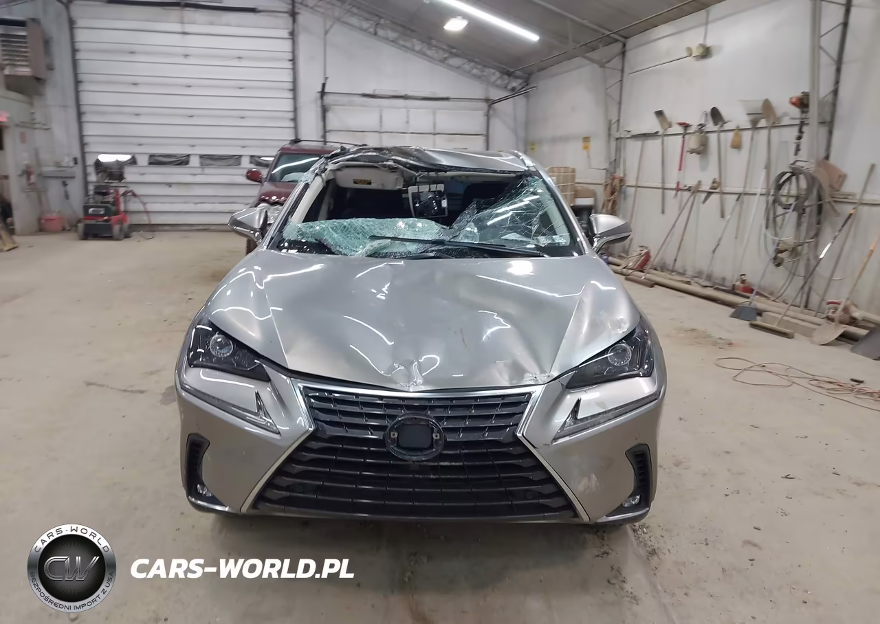 2018 Lexus Nx 300 VIN:JTJBARBZ2J2163032 - 12