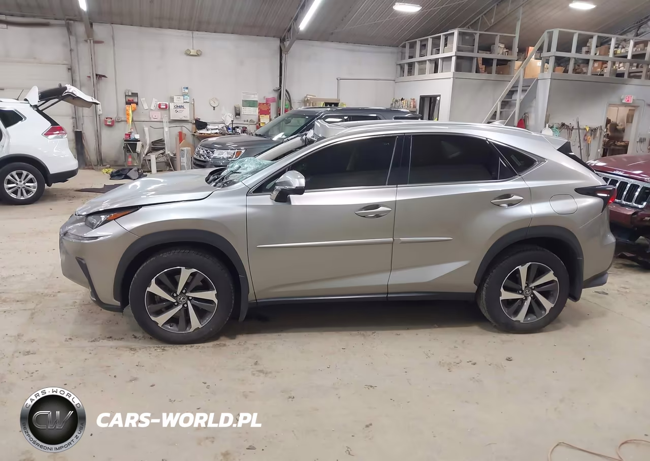 2018 Lexus Nx 300 VIN:JTJBARBZ2J2163032 - 14