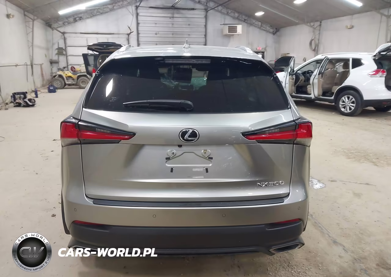 2018 Lexus Nx 300 VIN:JTJBARBZ2J2163032 - 16