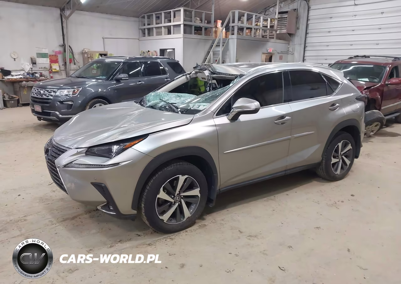 2018 Lexus Nx 300 VIN:JTJBARBZ2J2163032 - 2