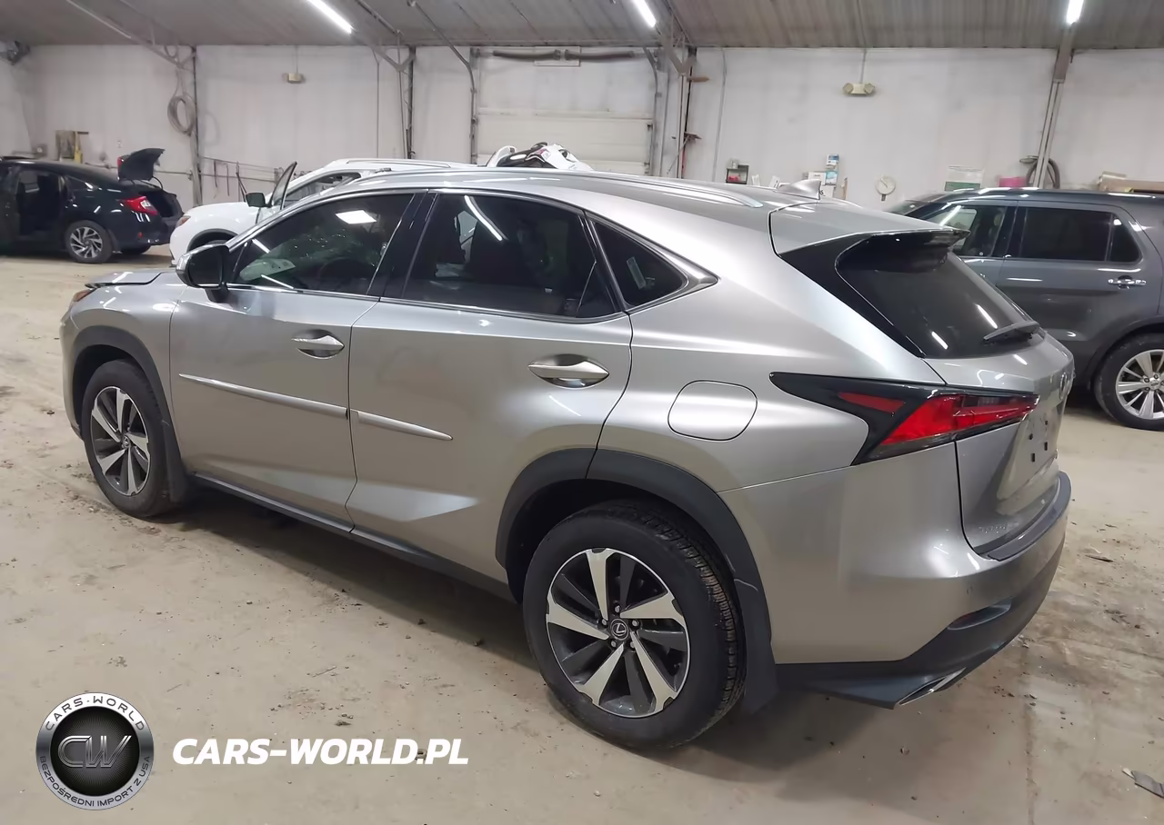 2018 Lexus Nx 300 VIN:JTJBARBZ2J2163032 - 3