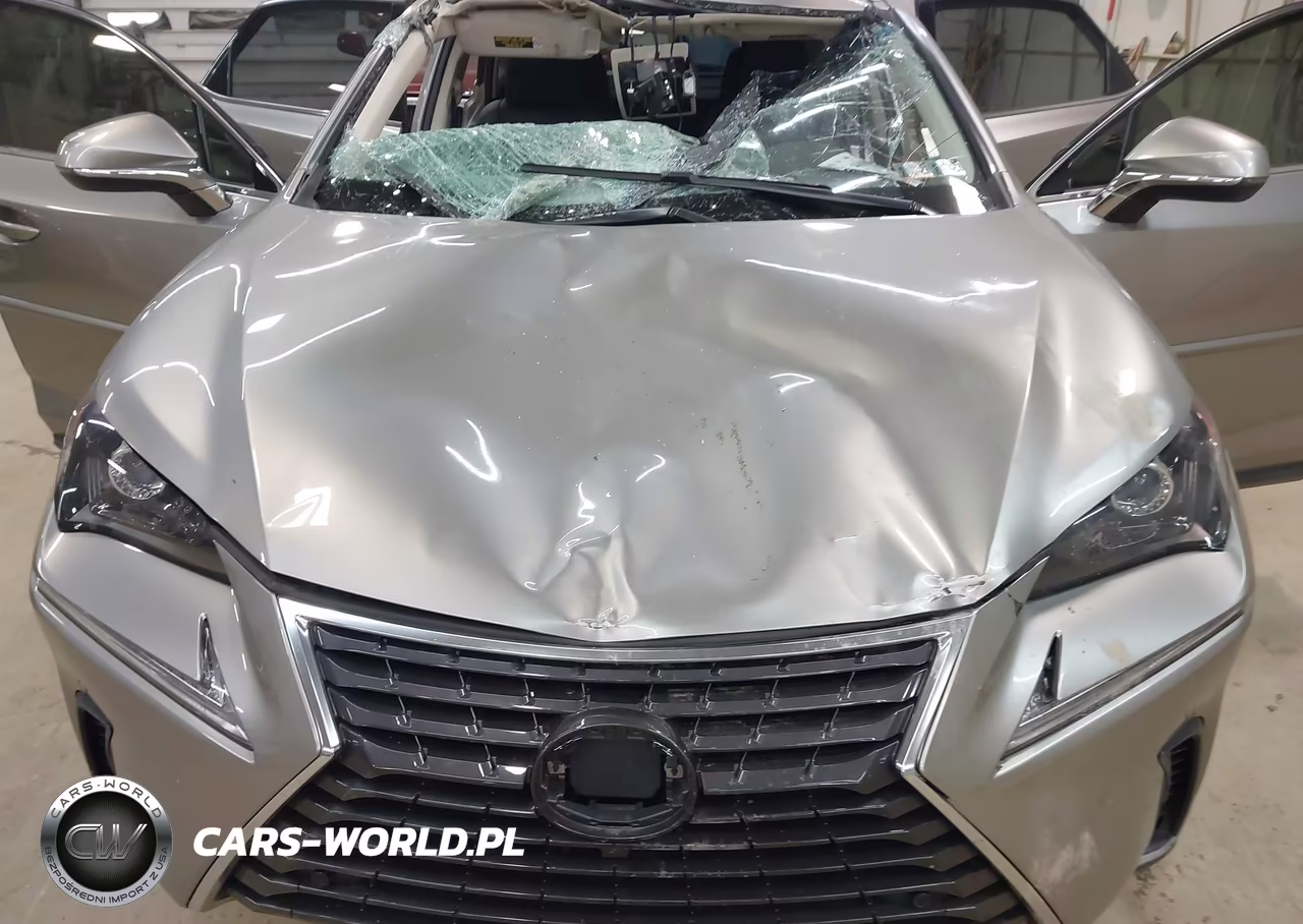 2018 Lexus Nx 300 VIN:JTJBARBZ2J2163032 - 6