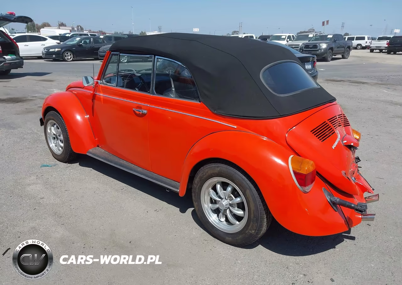 1974 Volkswagen The Beetle VIN:00000001542293743 - 3