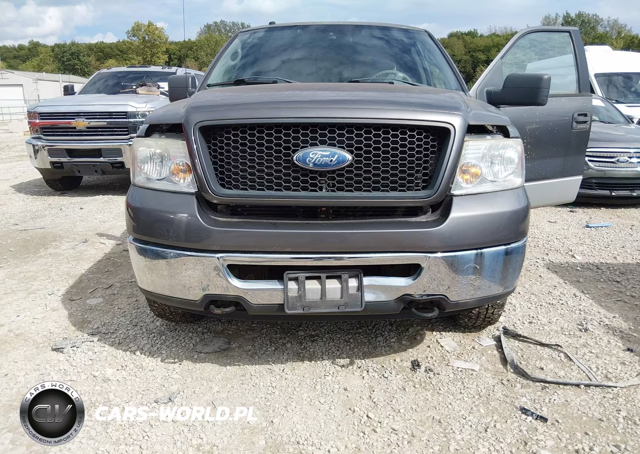 2006 Ford F-150 Fx4-Lariat-Xl-Xlt VIN:1FTPX14V36NB47284 - 6