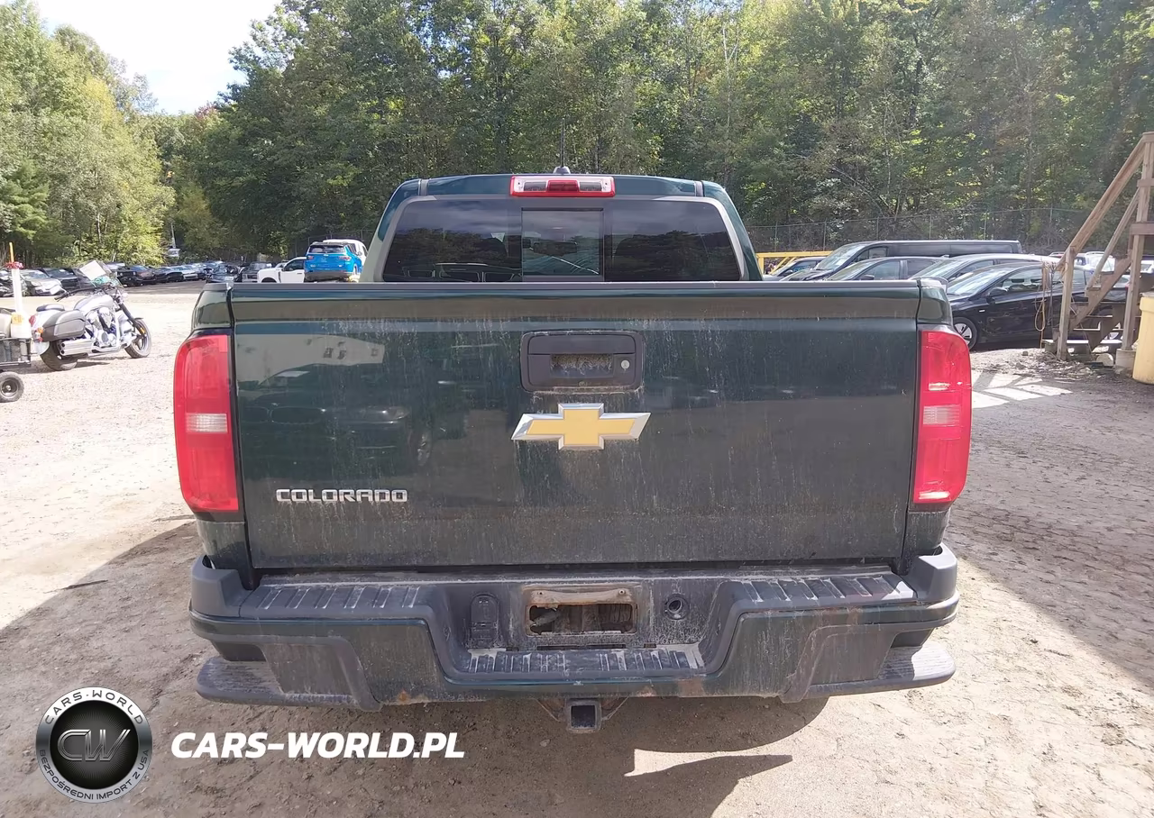 2016 Chevrolet Colorado Z71 VIN:1GCGTDE31G1194008 - 16