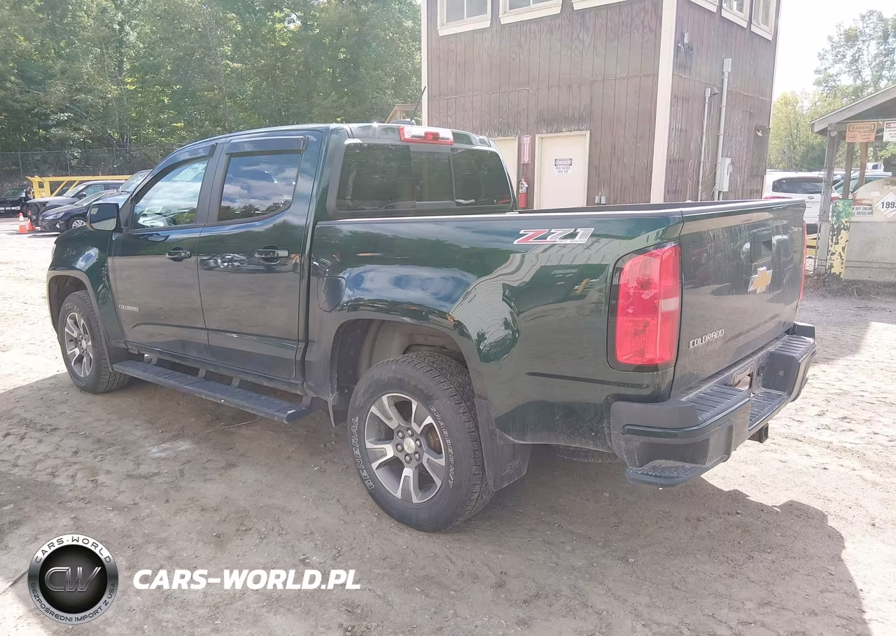 2016 Chevrolet Colorado Z71 VIN:1GCGTDE31G1194008 - 3