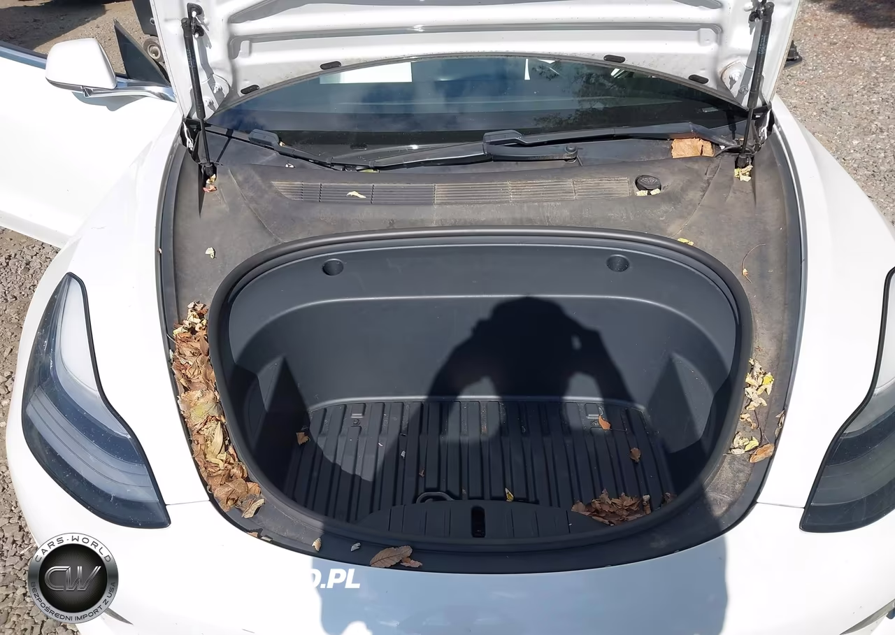 2020 Tesla Model 3 Long Range Dual Motor All-Wheel Drive VIN:5YJ3E1EB3LF795856 - 10