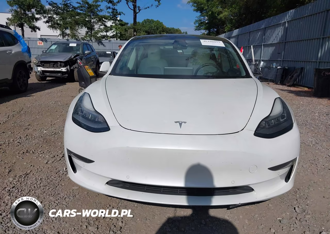 2020 Tesla Model 3 Long Range Dual Motor All-Wheel Drive VIN:5YJ3E1EB3LF795856 - 12