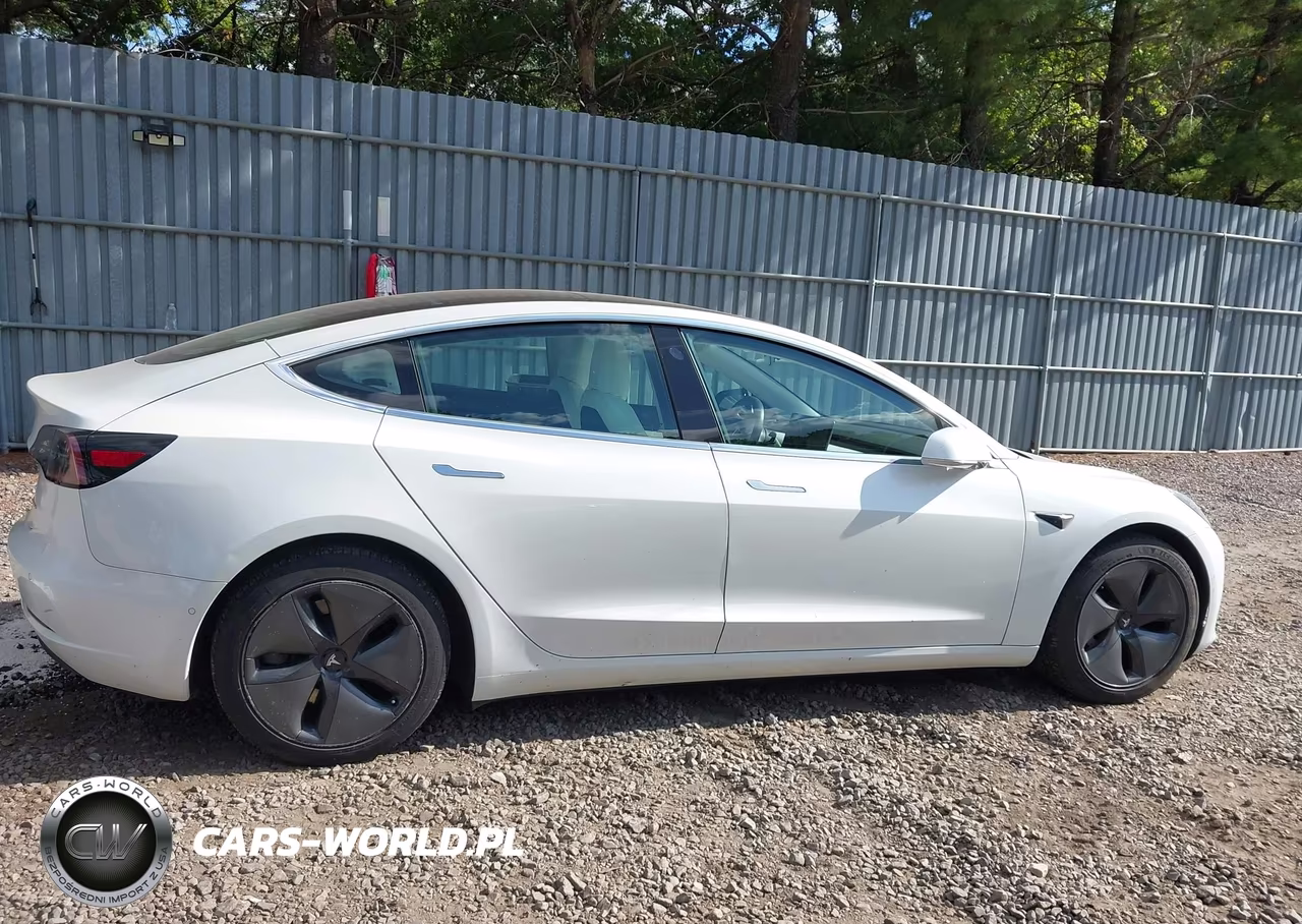 2020 Tesla Model 3 Long Range Dual Motor All-Wheel Drive VIN:5YJ3E1EB3LF795856 - 13