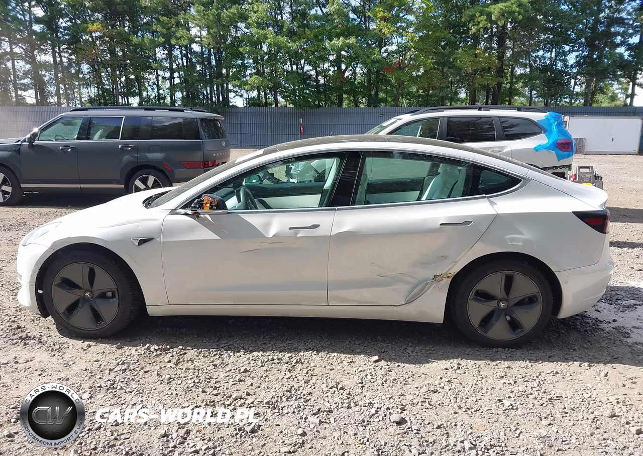 2020 Tesla Model 3 Long Range Dual Motor All-Wheel Drive VIN:5YJ3E1EB3LF795856 - 14
