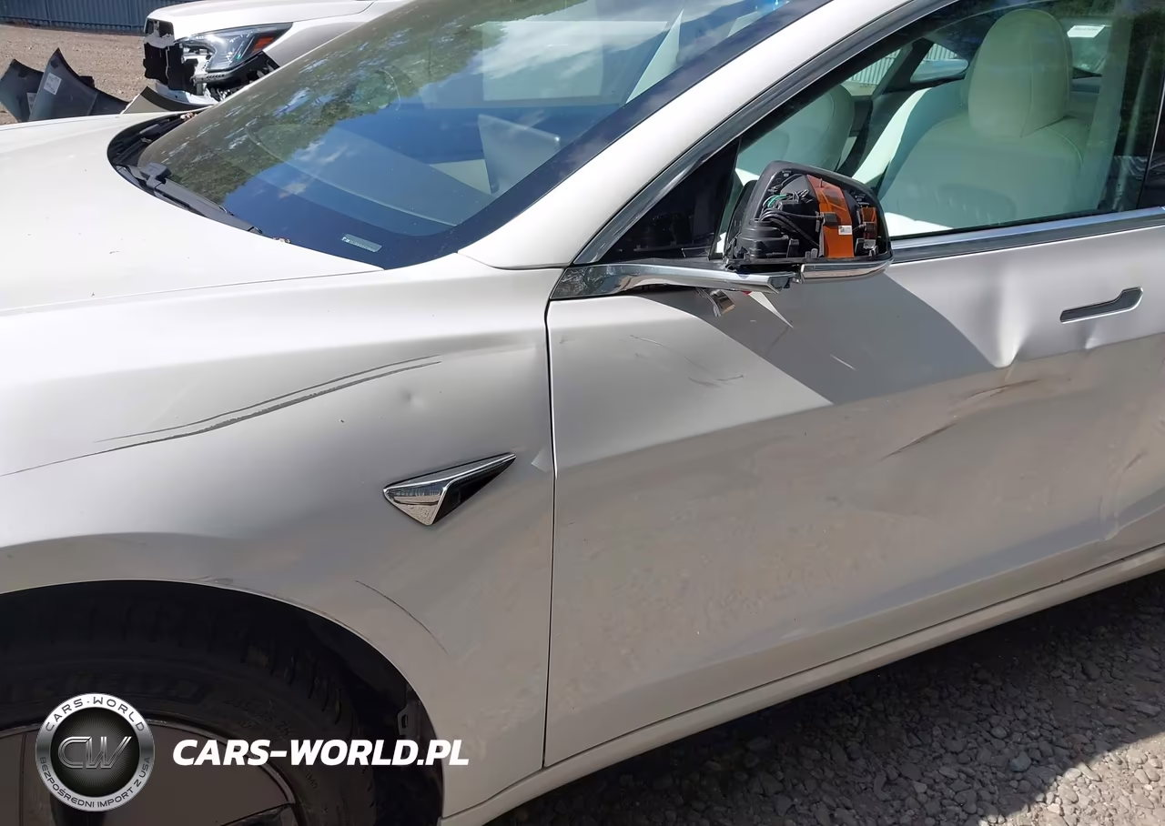 2020 Tesla Model 3 Long Range Dual Motor All-Wheel Drive VIN:5YJ3E1EB3LF795856 - 19