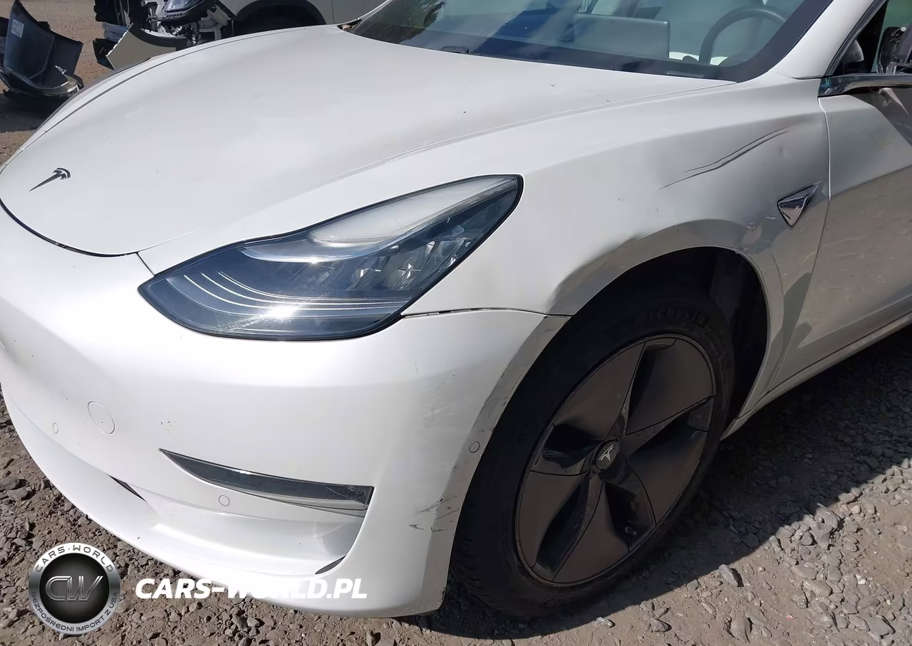 2020 Tesla Model 3 Long Range Dual Motor All-Wheel Drive VIN:5YJ3E1EB3LF795856 - 20