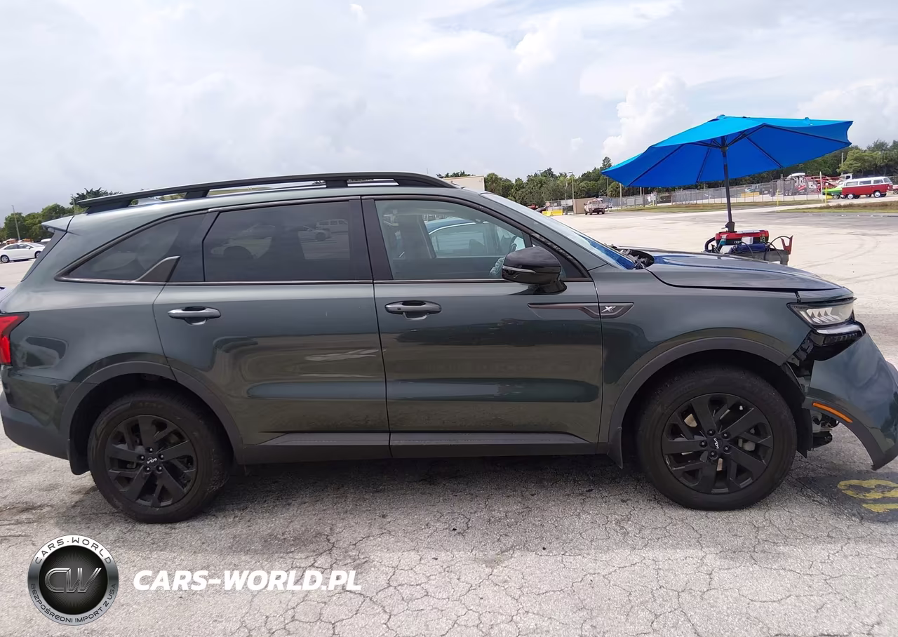 2023 Kia Sorento X-Line S VIN:5XYRLDLC4PG203022 - 12