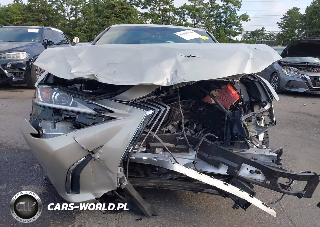 2019 Lexus Es 350 VIN:58ABZ1B19KU025814 - 13