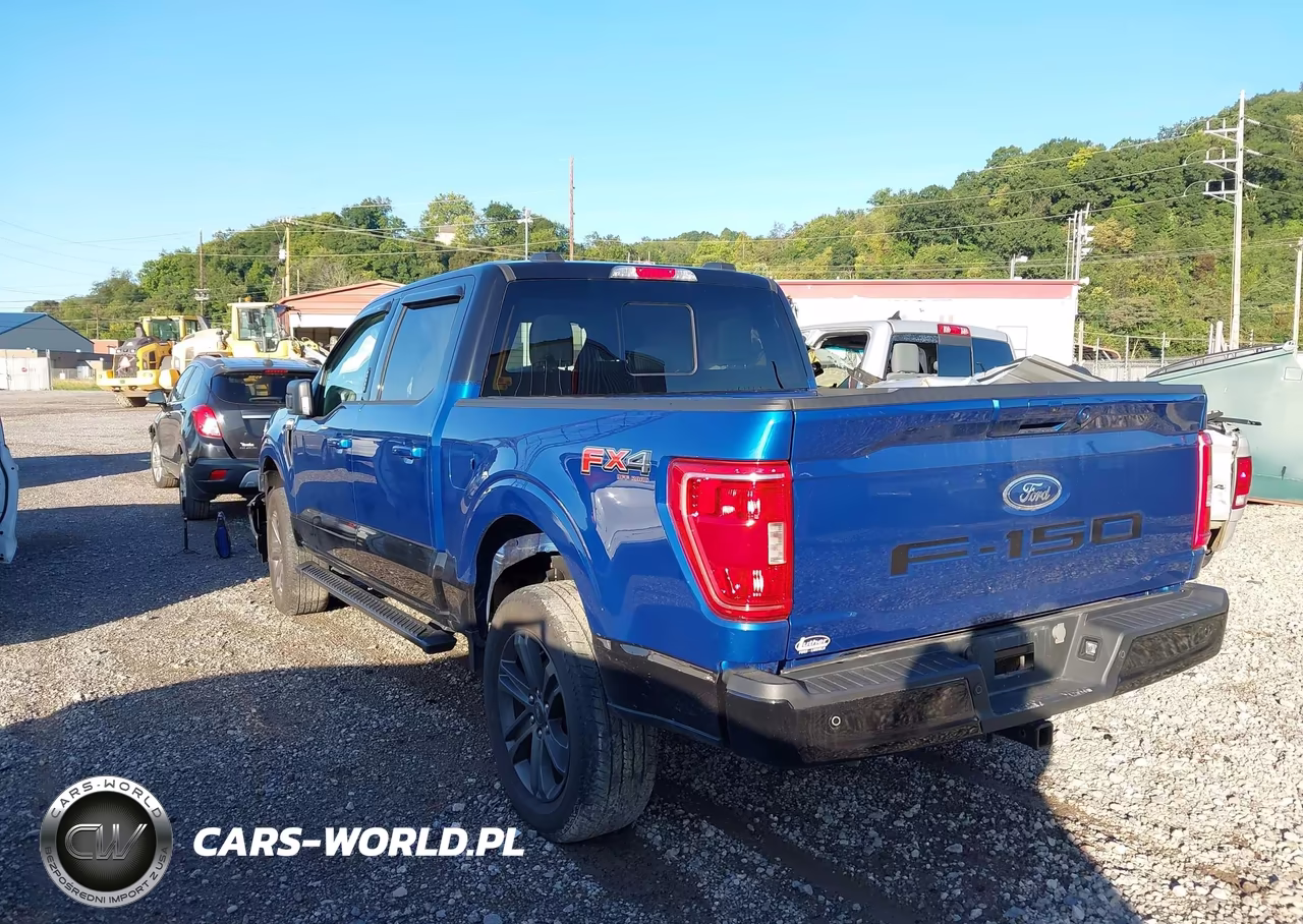 2023 Ford F-150 Xlt VIN:1FTFW1E50PKF10608 - 3