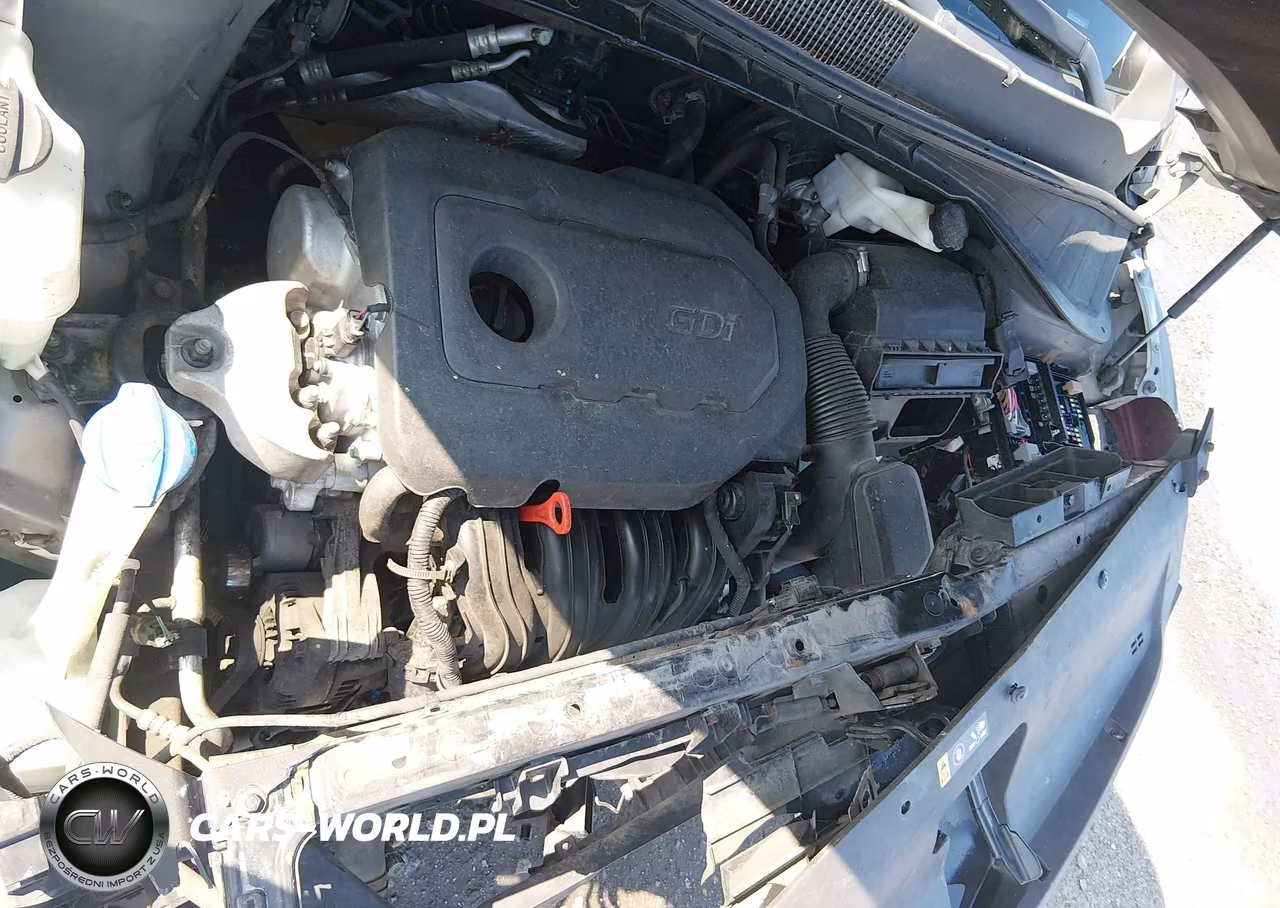 2016 Kia Sorento 2.4L L VIN:5XYPG4A37GG004058 - 10